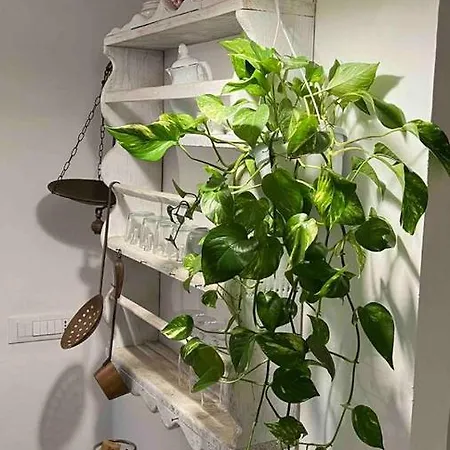 Nel Cuore Di